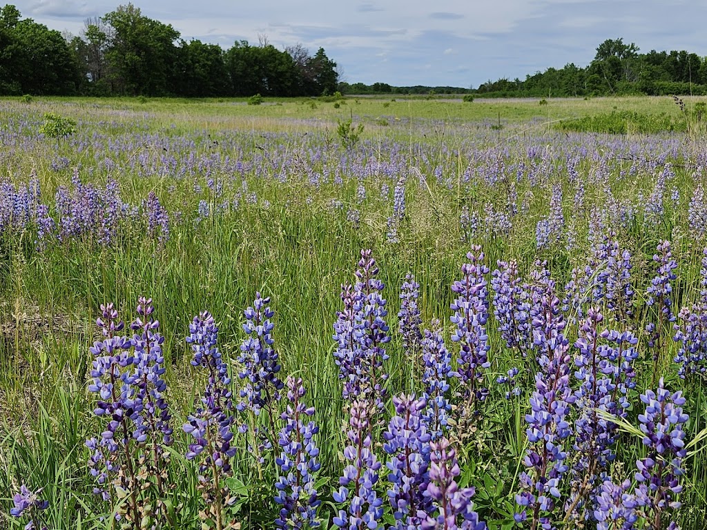 Sherburne National Wildlife Refuge