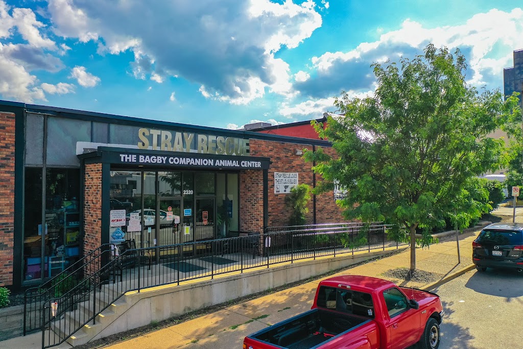 Stray Rescue of St Louis