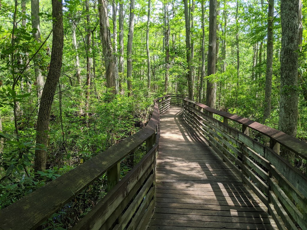 First Landing State Park