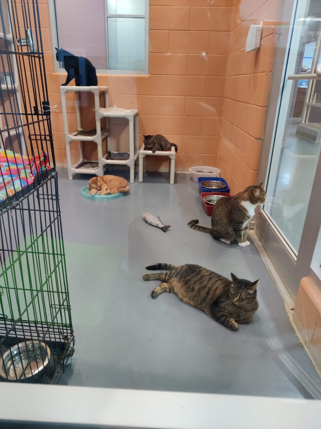 Pet Refuge