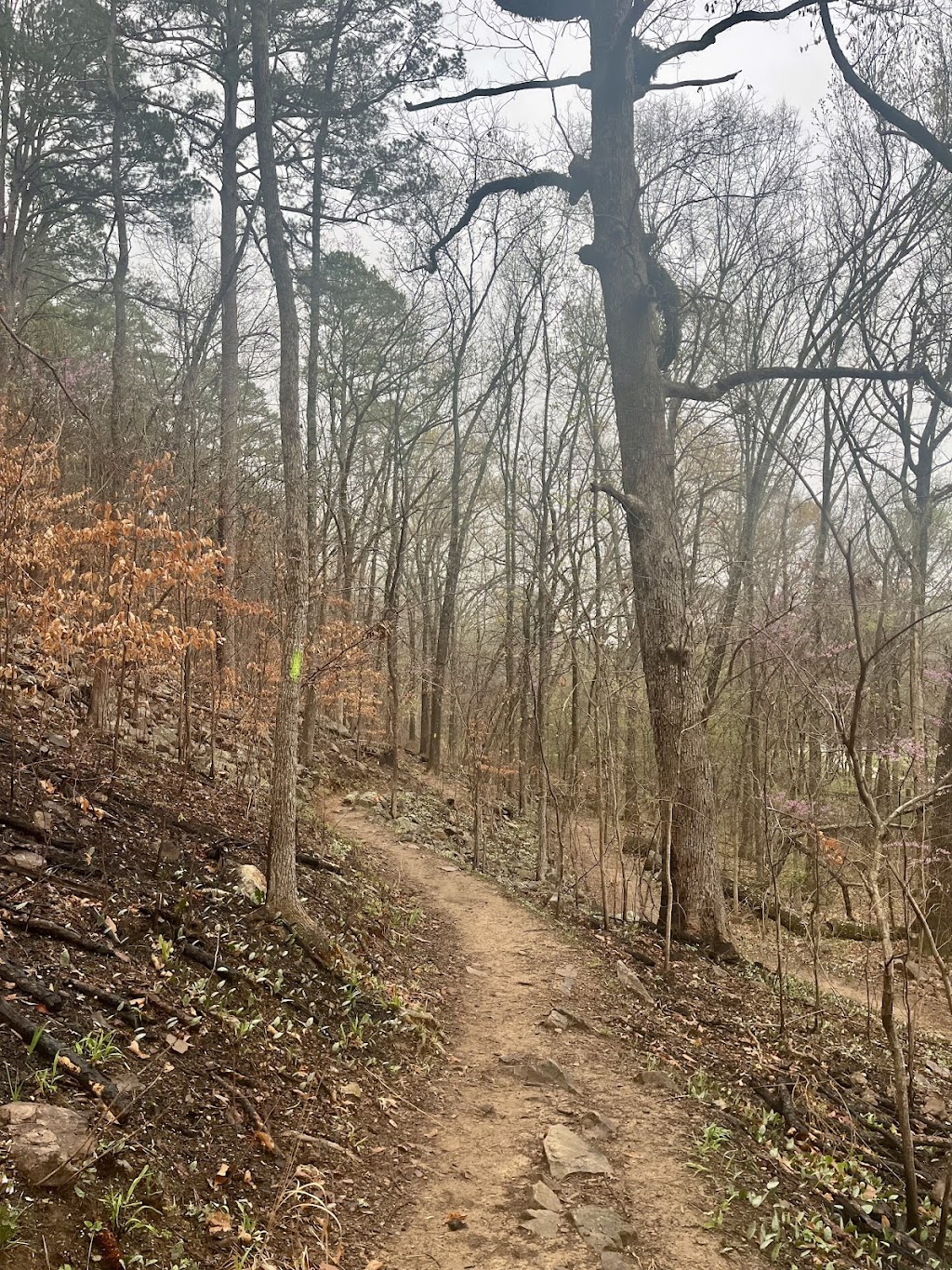 Pinnacle Mountain Base Trail