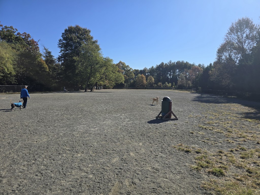 Mason District Park Dog Park