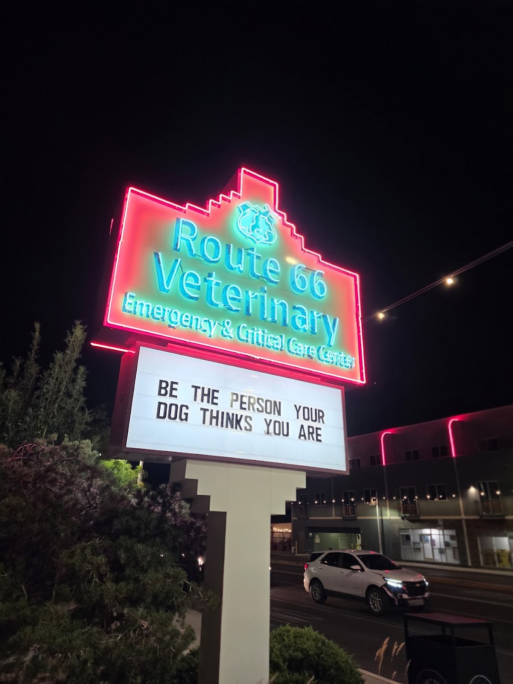 Route 66 Animal Emergency Hospital