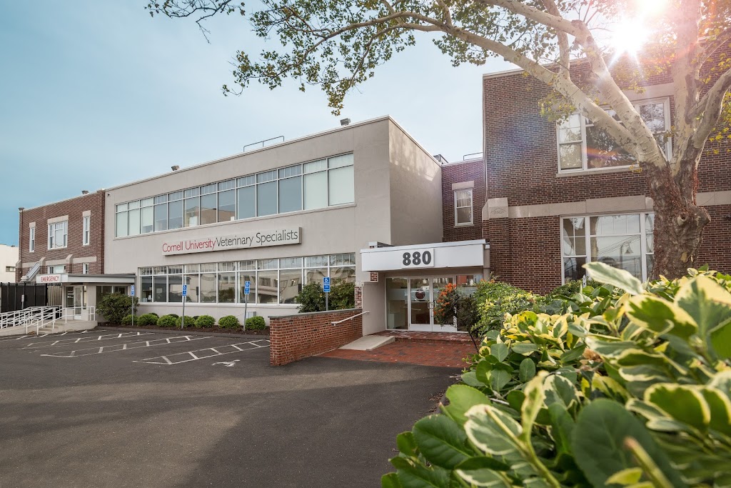 Cornell University Veterinary Specialists (CUVS)
