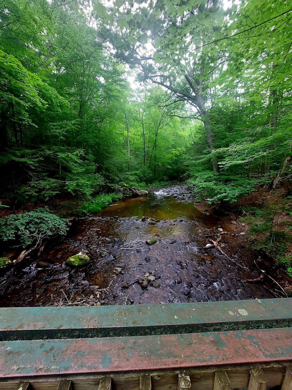 Robert Frost Trail