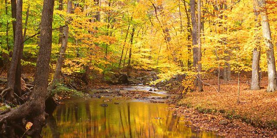 Scherman Hoffman Wildlife Sanctuary