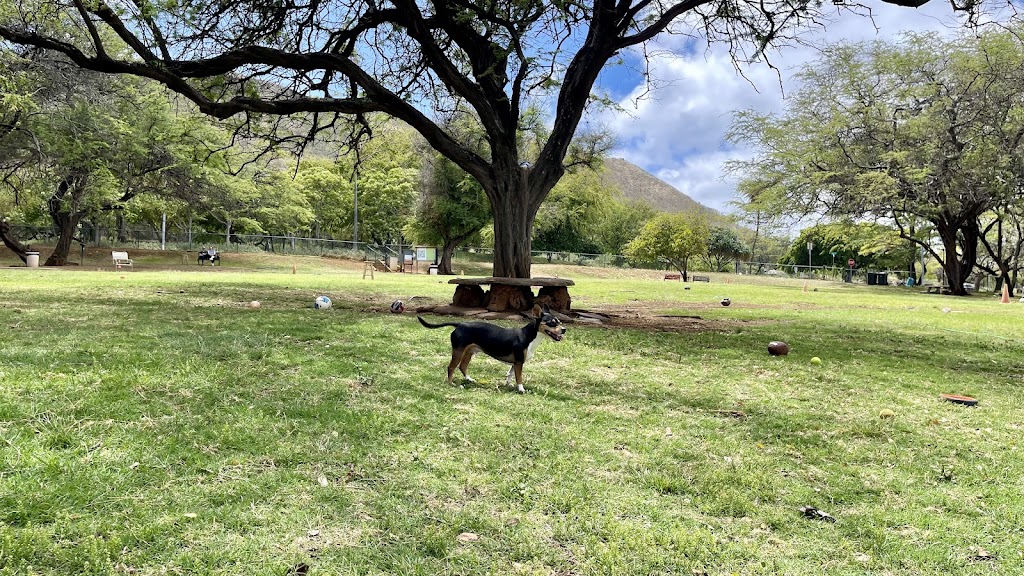 Diamond Head Bark Park (Clark Hatch)