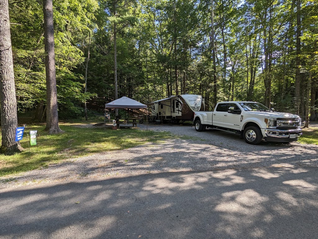 Calvin Price State Forest