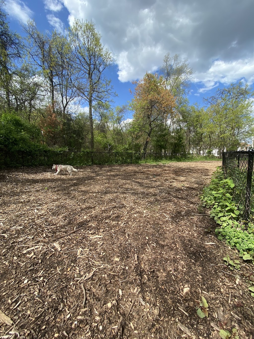 Conference House Park Dog Run