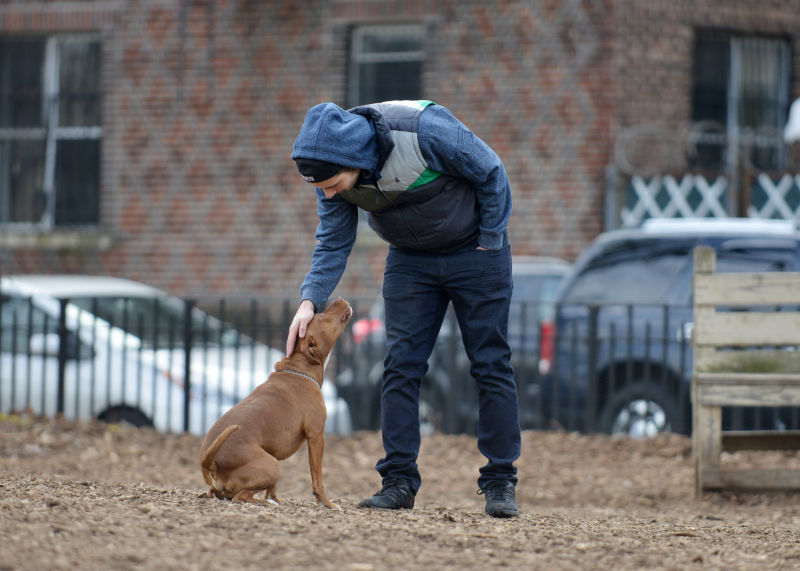 Cooper Park Dog Run