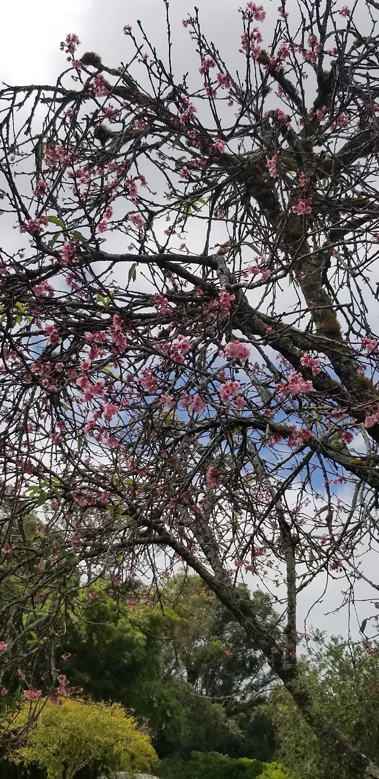 Iliahi Neighborhood Park