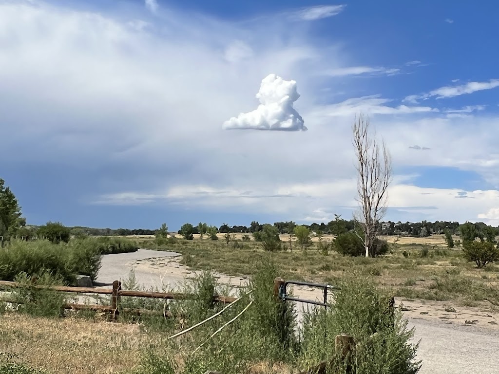 Cherry Creek State Park Dog Off-Leash Area