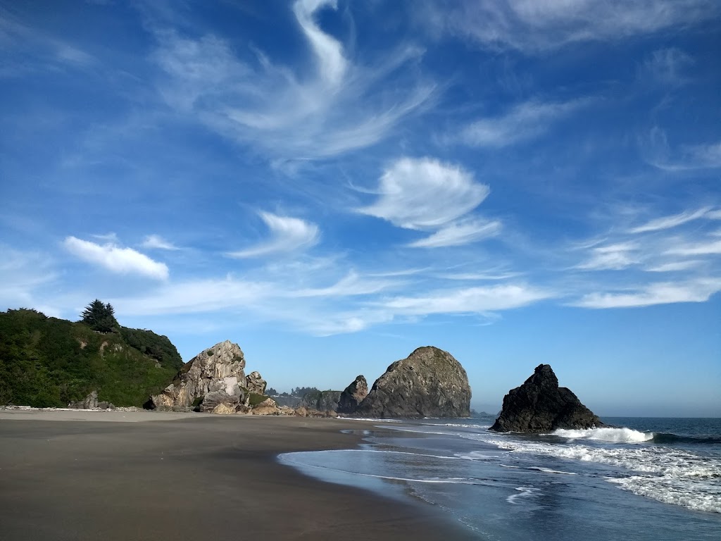 Harris Beach State Park