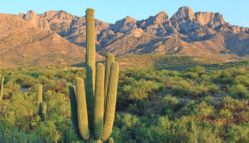 Catalina State Park