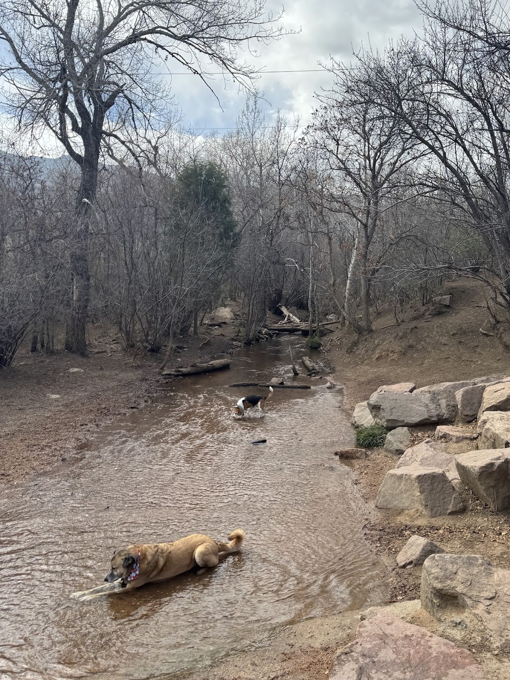 Bear Creek Dog Park, Colorado Springs