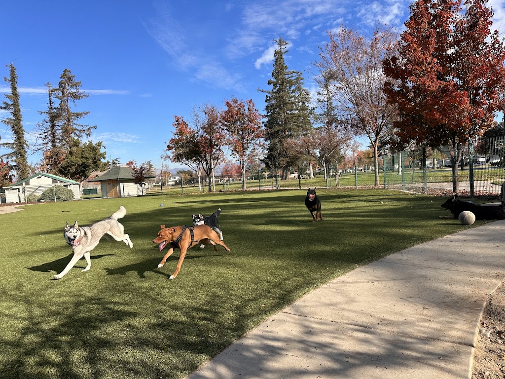 Butcher Dog Park