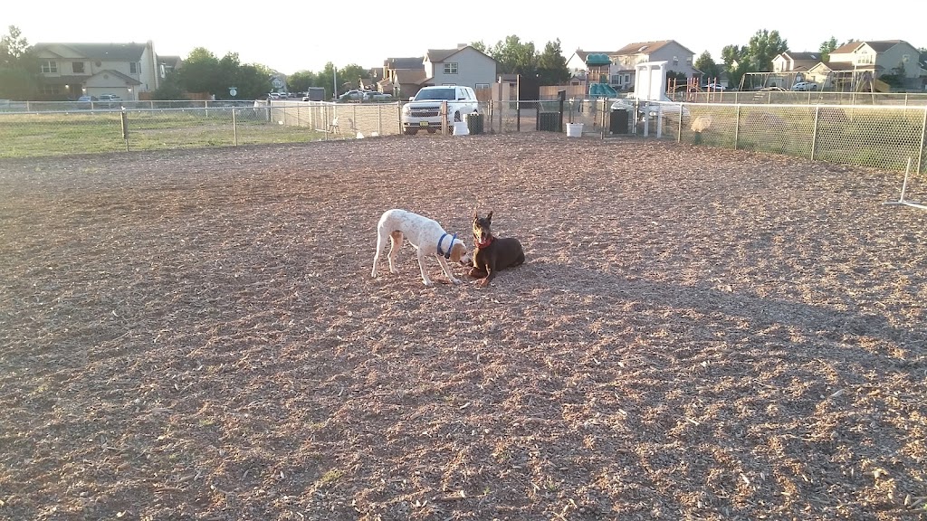 Cheyenne Meadows Dog Park