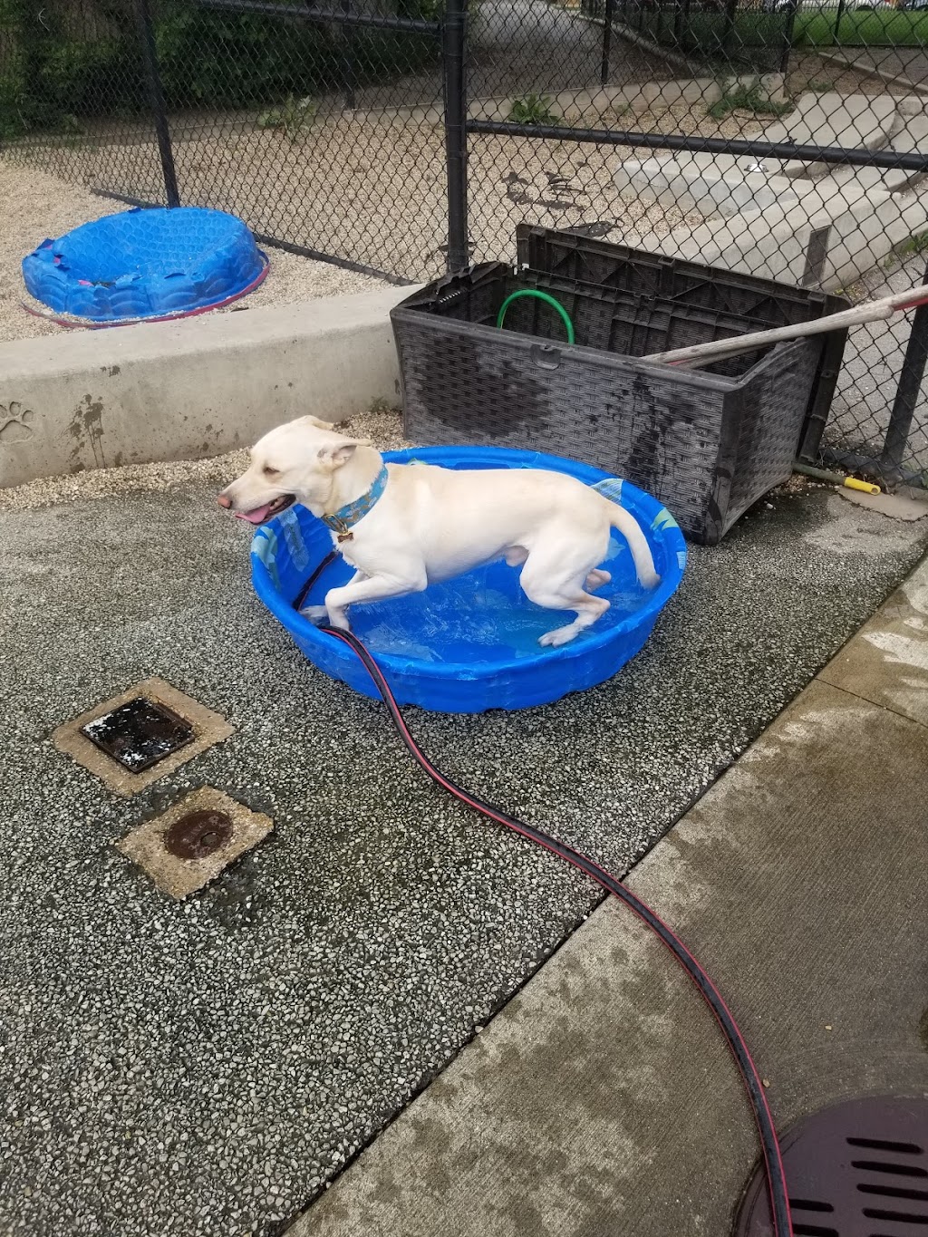 Logan Square Dog Friendly Area (Haas Park)