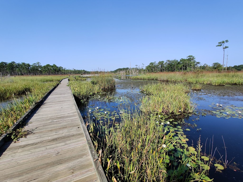 Big Branch Marsh National Wildlife Refuge