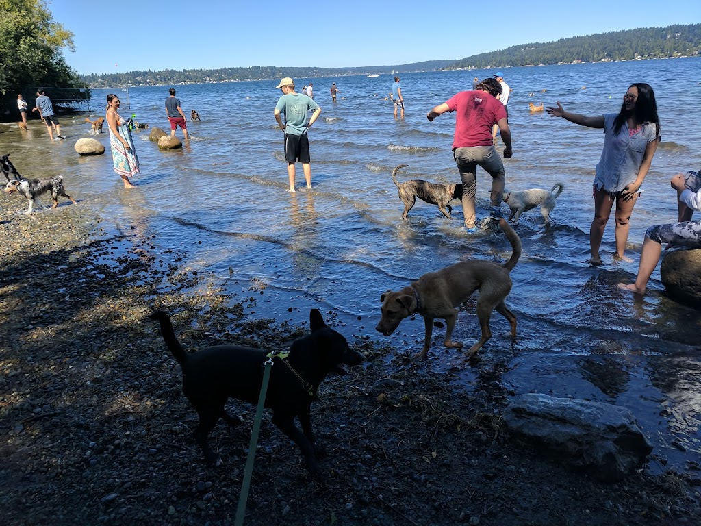 Warren G. Magnuson Park (Off-Leash)