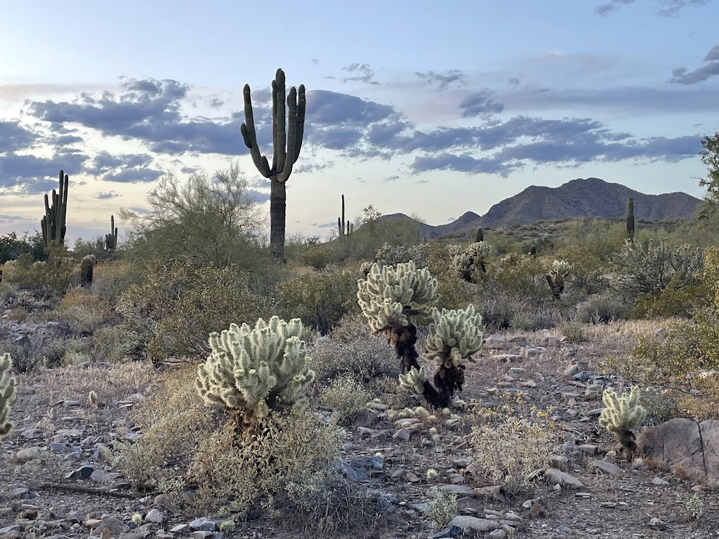 Bell Pass Trail (McDowell Sonoran)