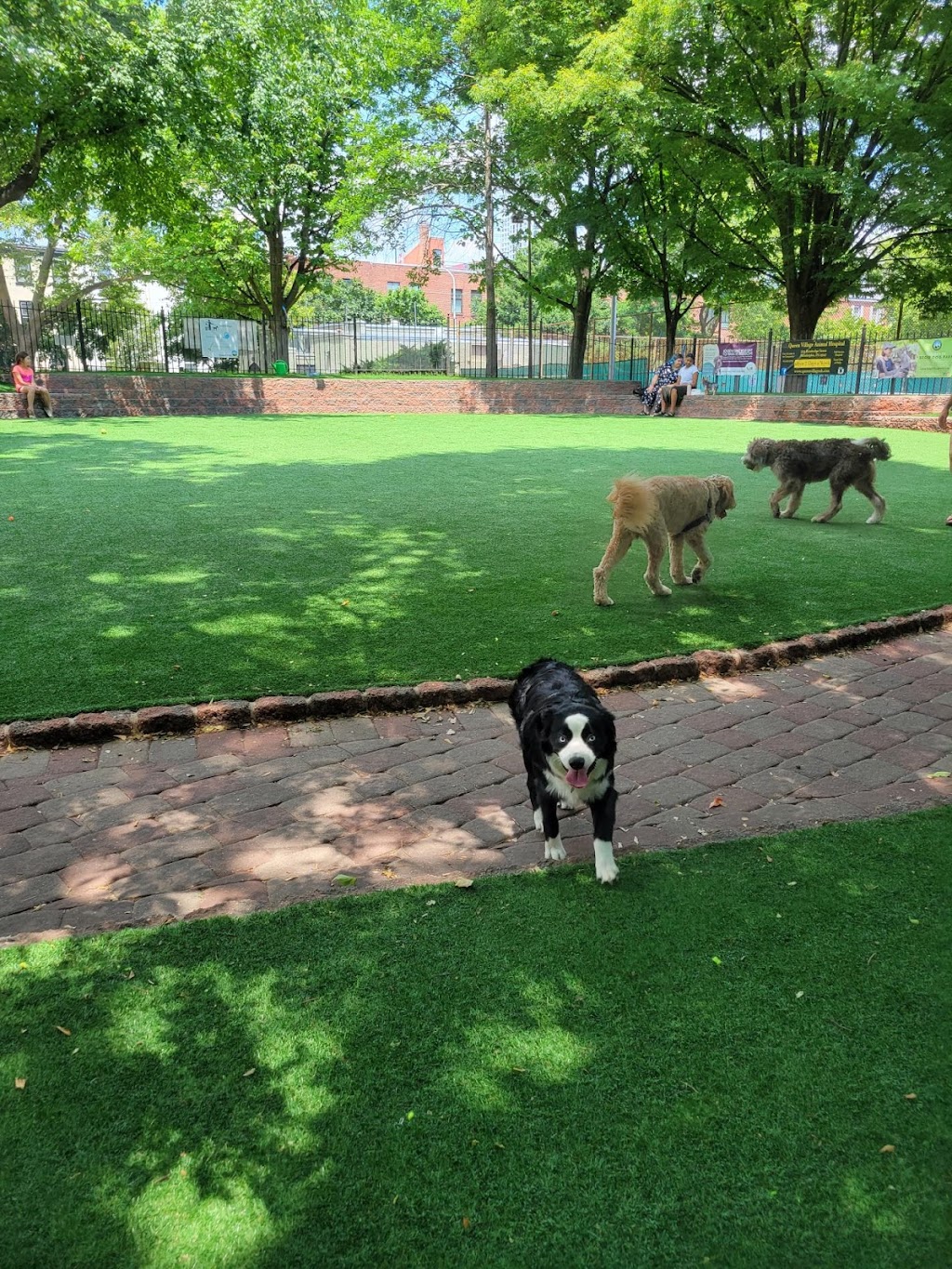 Seger Dog Park