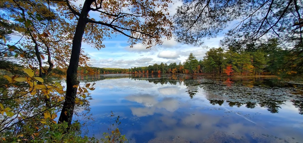 Tillinghast Pond Management Area