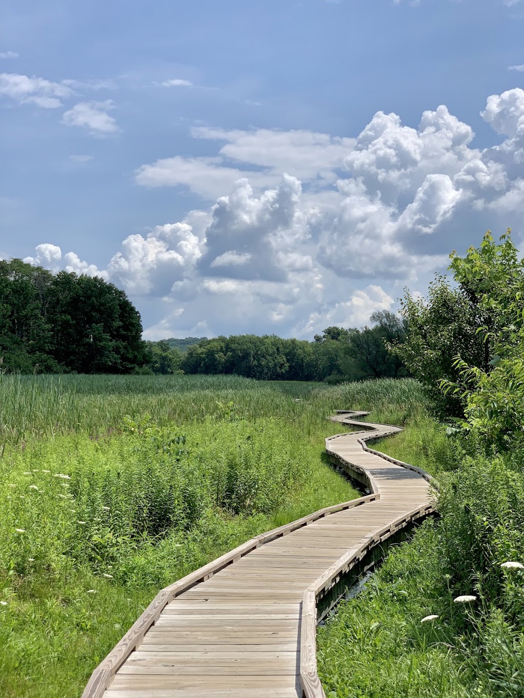 Appalachian Trail (Vernon Section)