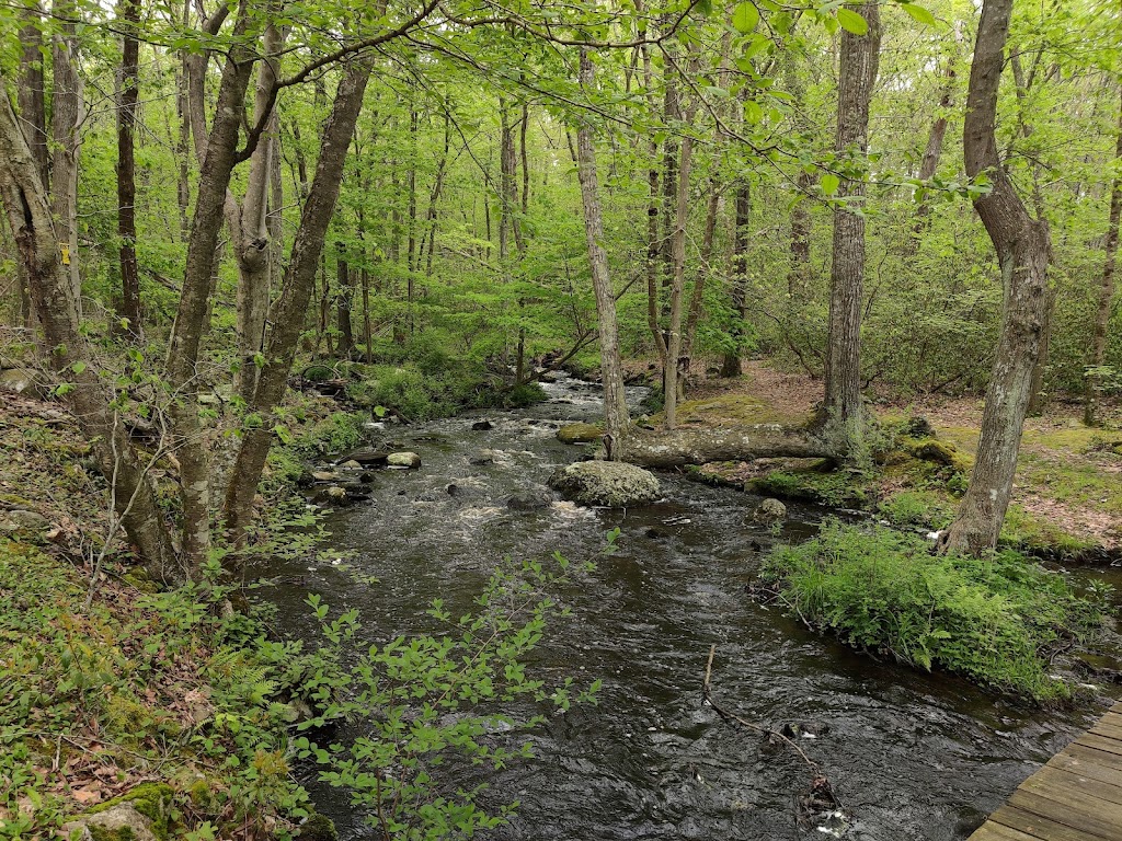 Fort Barton Woods Trails
