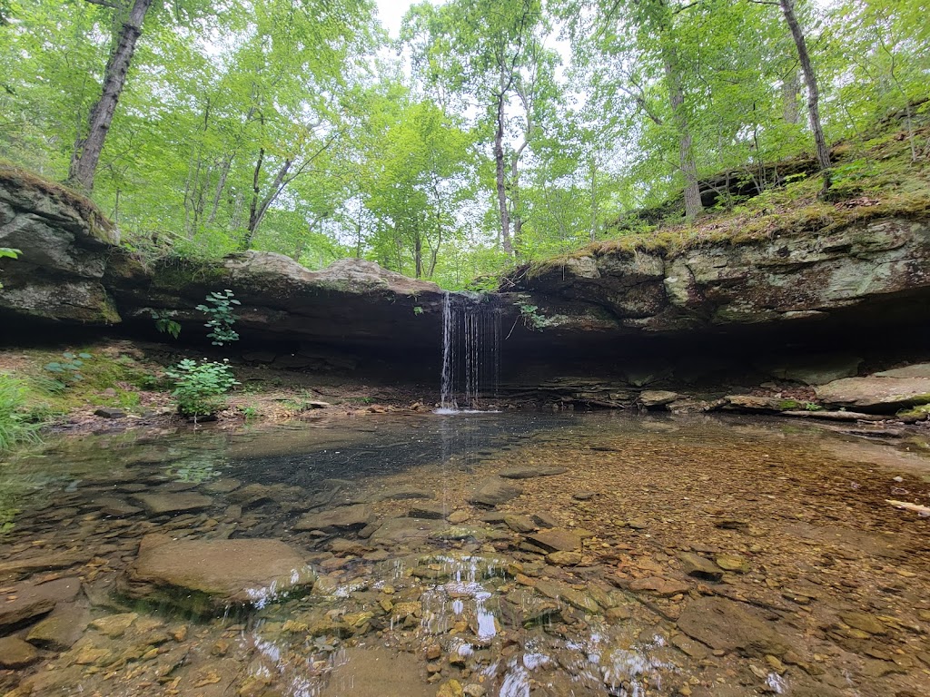 Paddy Creek Wilderness