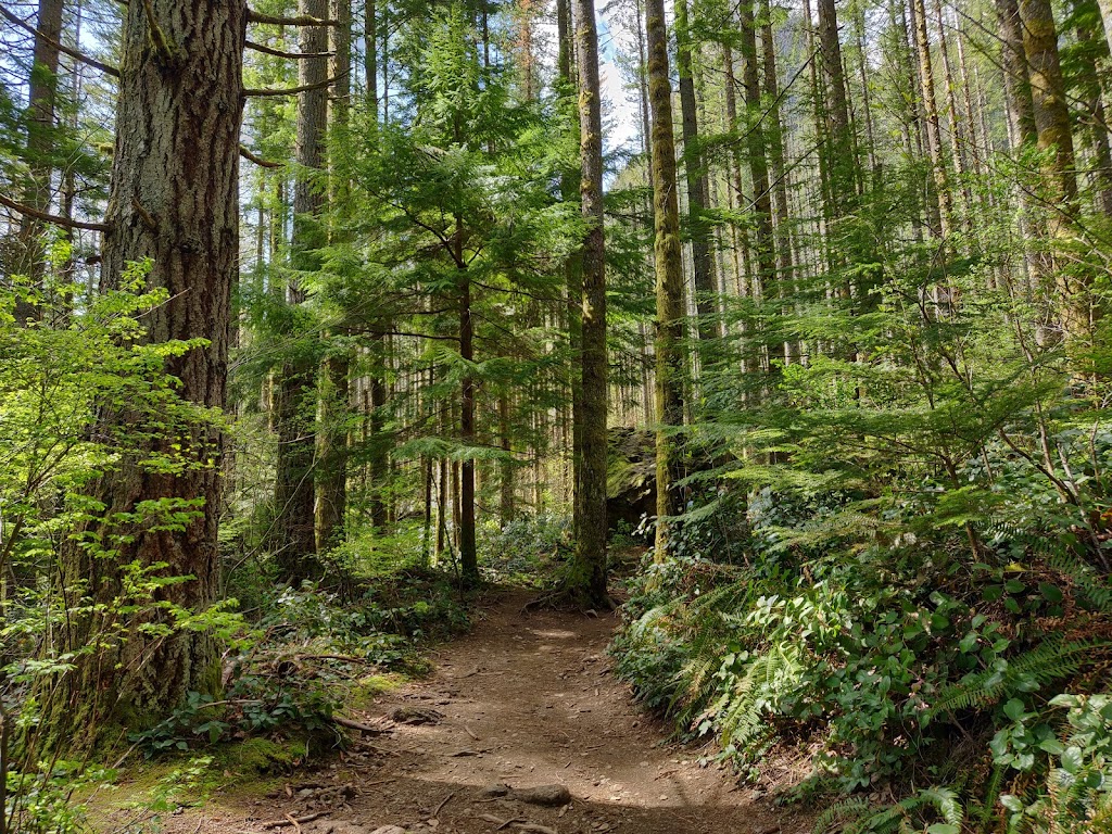 Rattlesnake Ledge Trail