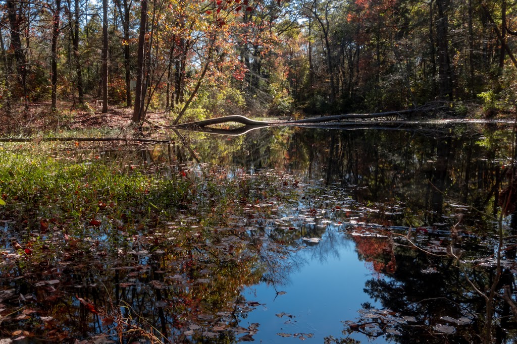 Lake Bob Sandlin State Park