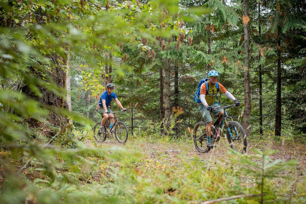 Pine Street Woods