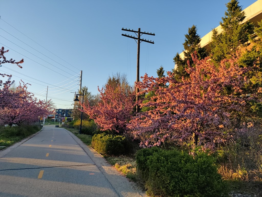 B-Line Trail