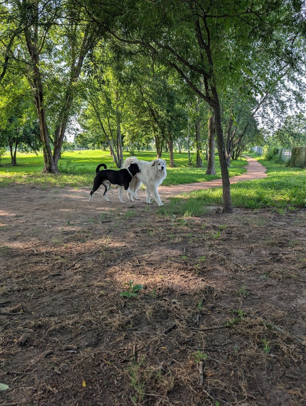 Otter Creek Dog Park