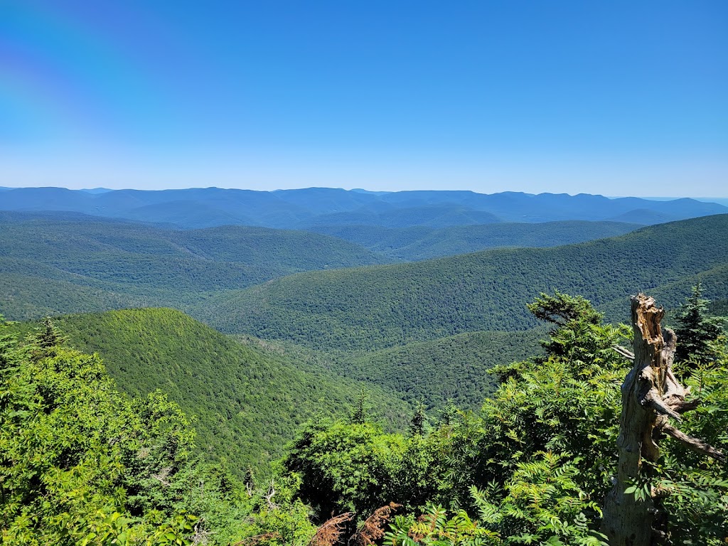 Catskill Park (Phoenicia Trails)