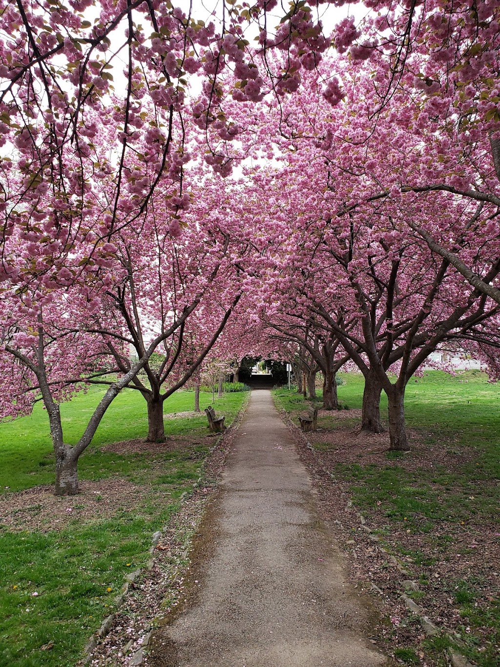 Everhart Park