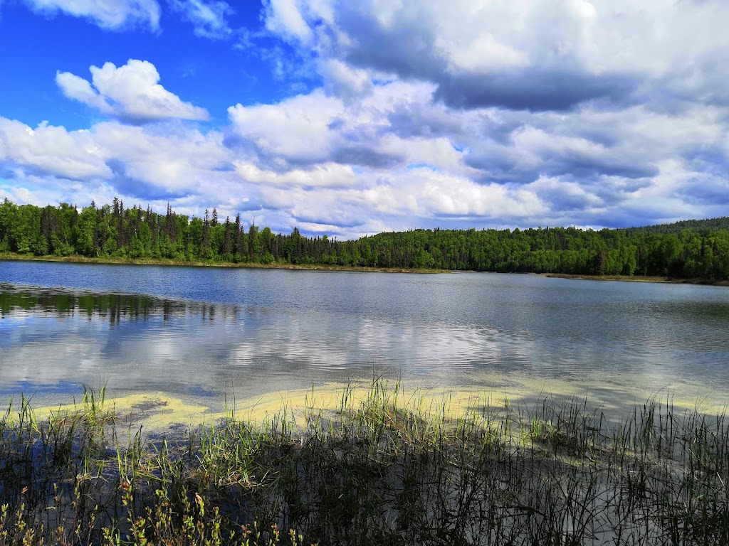 Talkeetna Lakes Park