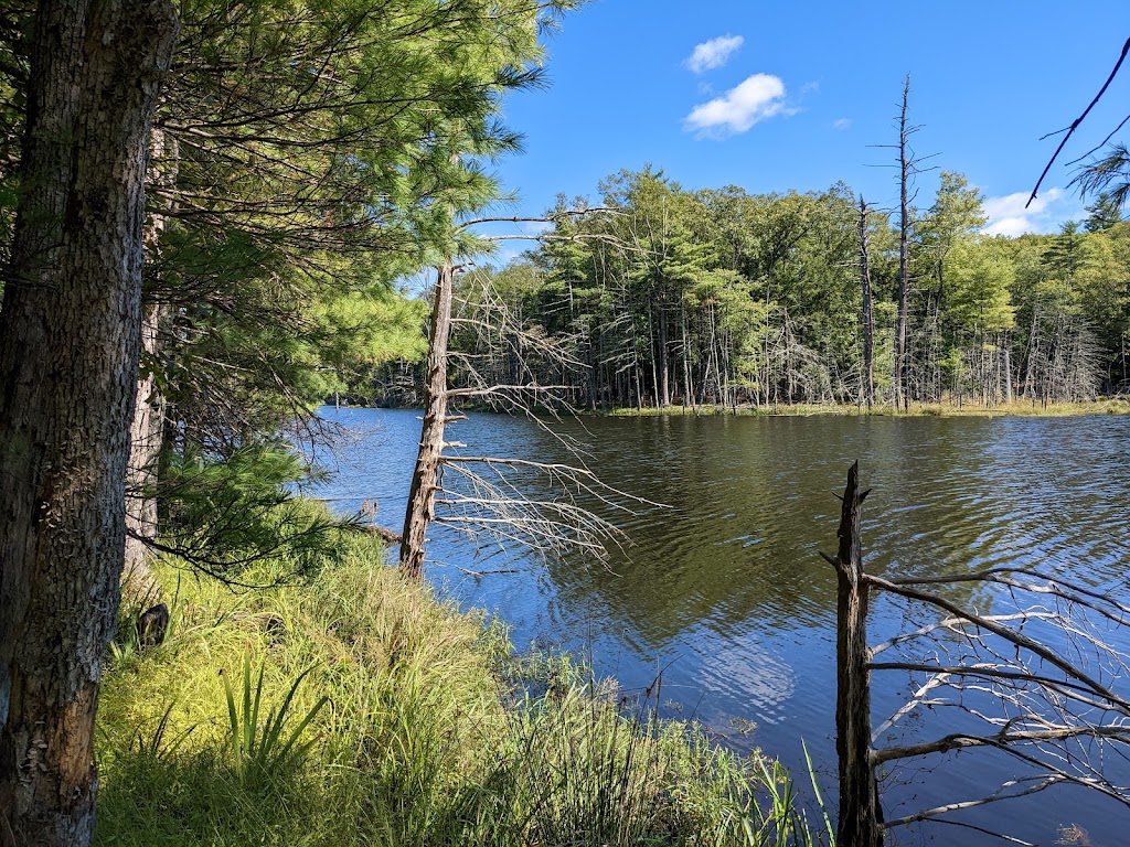 Onteora Lake (Bluestone Wild Forest)