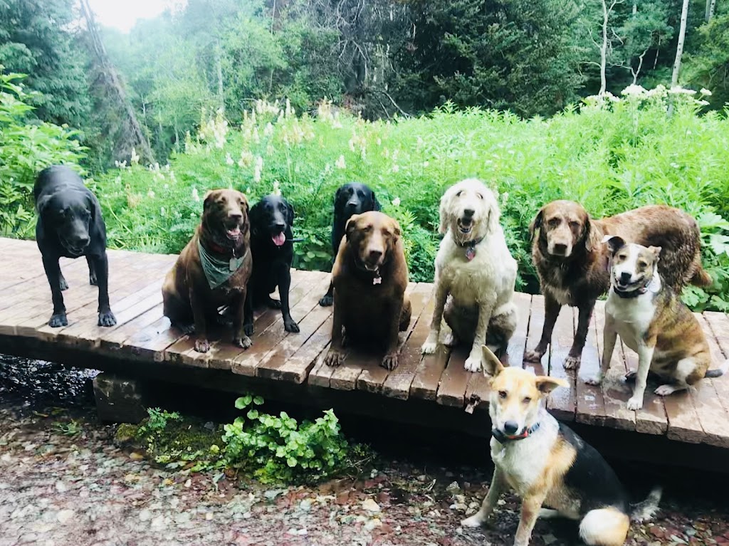 Mountain Mutts SLC