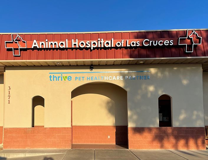 Las Cruces Veterinary Emergency