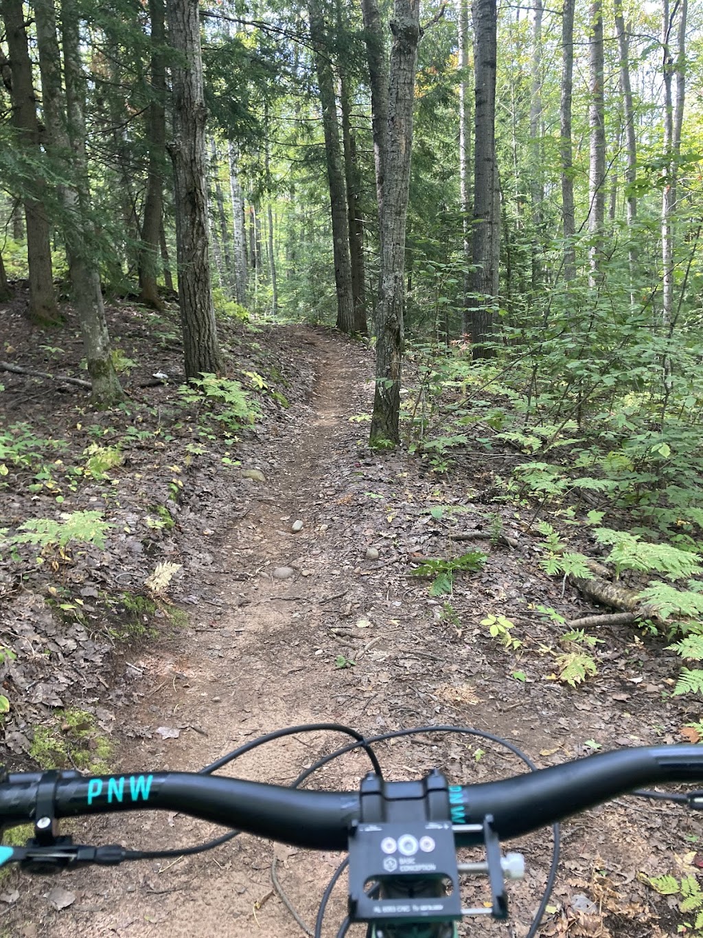Mt. Ashwabay Trails