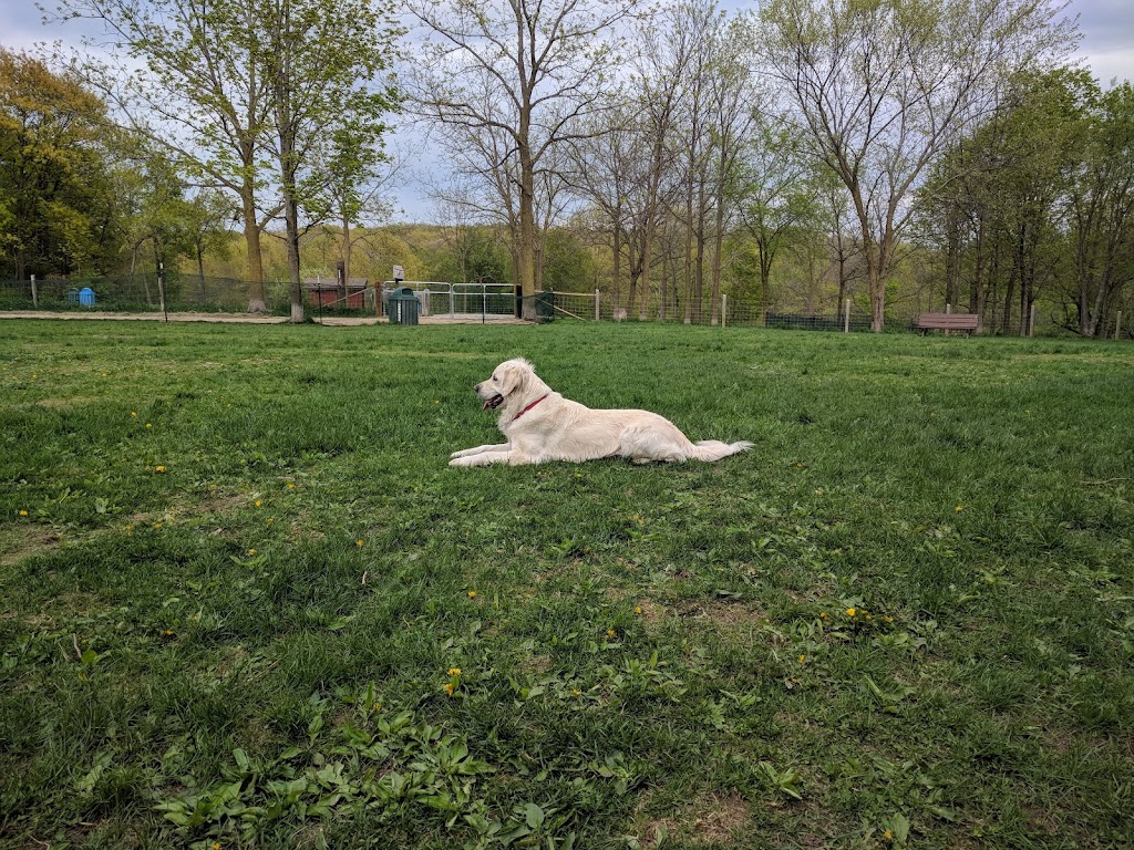 Minooka Park Dog Exercise Area