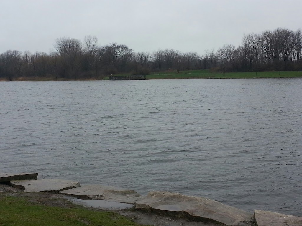 Pratt's Wayne Woods Forest Preserve