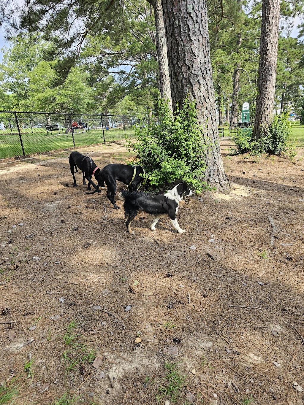 Lakeshore Park Dog Park, Brandon