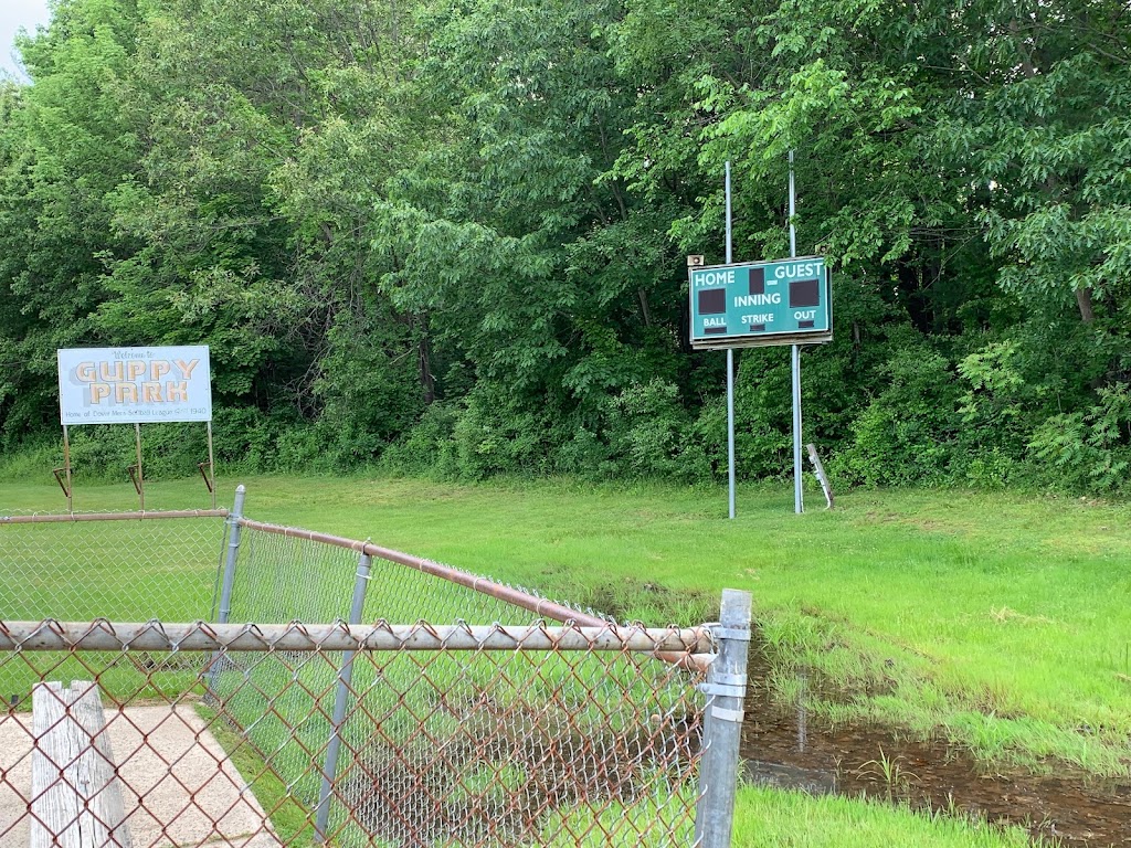Guppey Park Dog Park