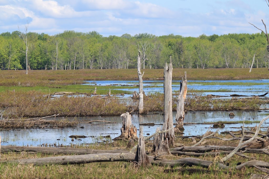 Missisquoi National Wildlife Refuge