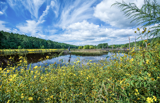Caledon State Park