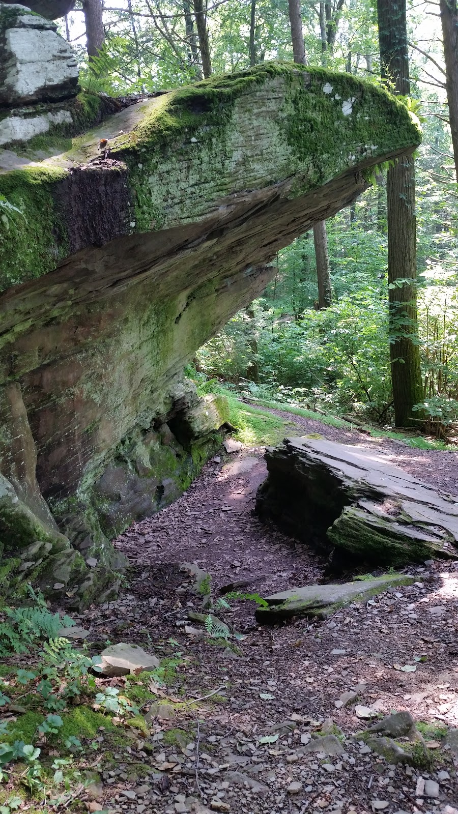Frances Slocum State Park