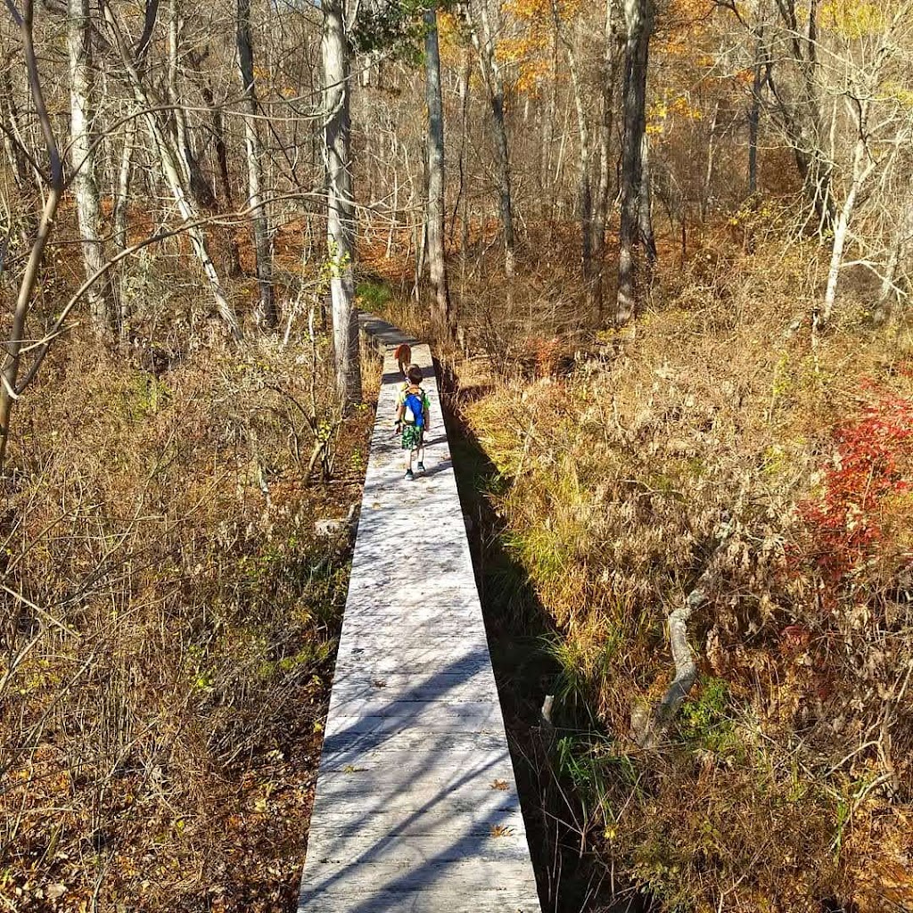Yawgoog Pond / Tomaquag Valley Trails
